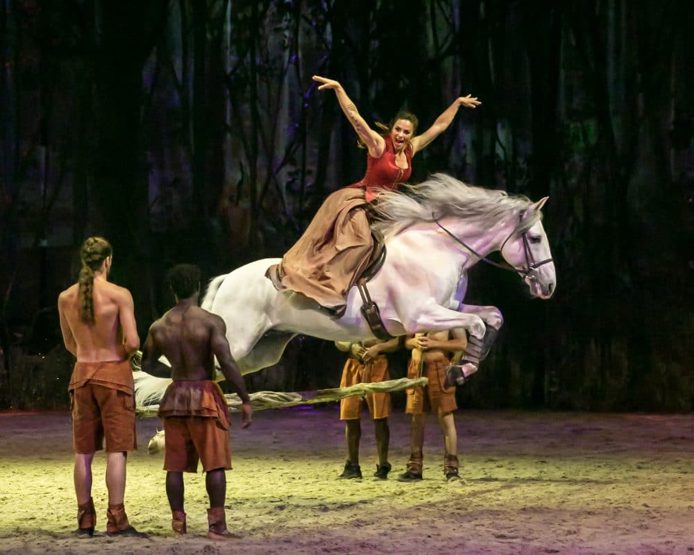 Odysséo Cavalia