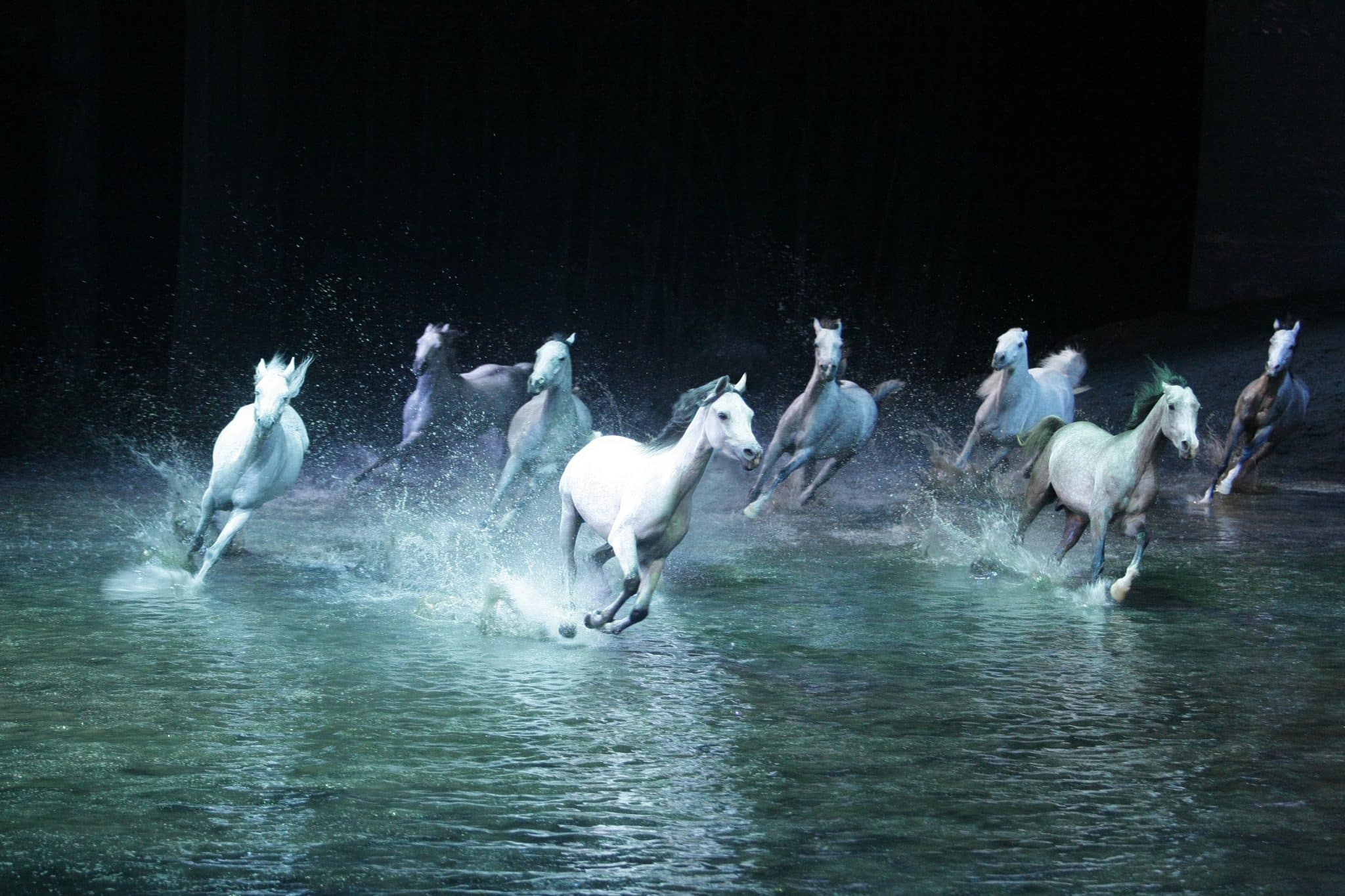 Odysséo Cavalia