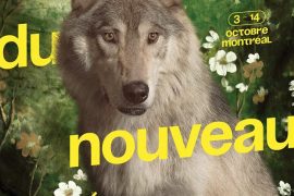 Festival du nouveau cinéma 2018