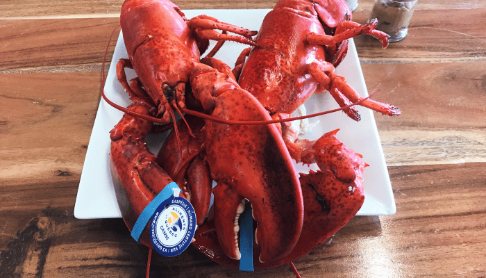 homard de Gaspésie