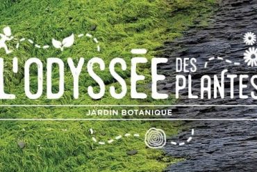 L'Odyssée des plantes au Jardin botanique
