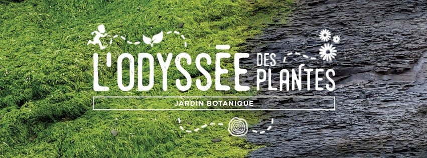 L'Odyssée des plantes au Jardin botanique