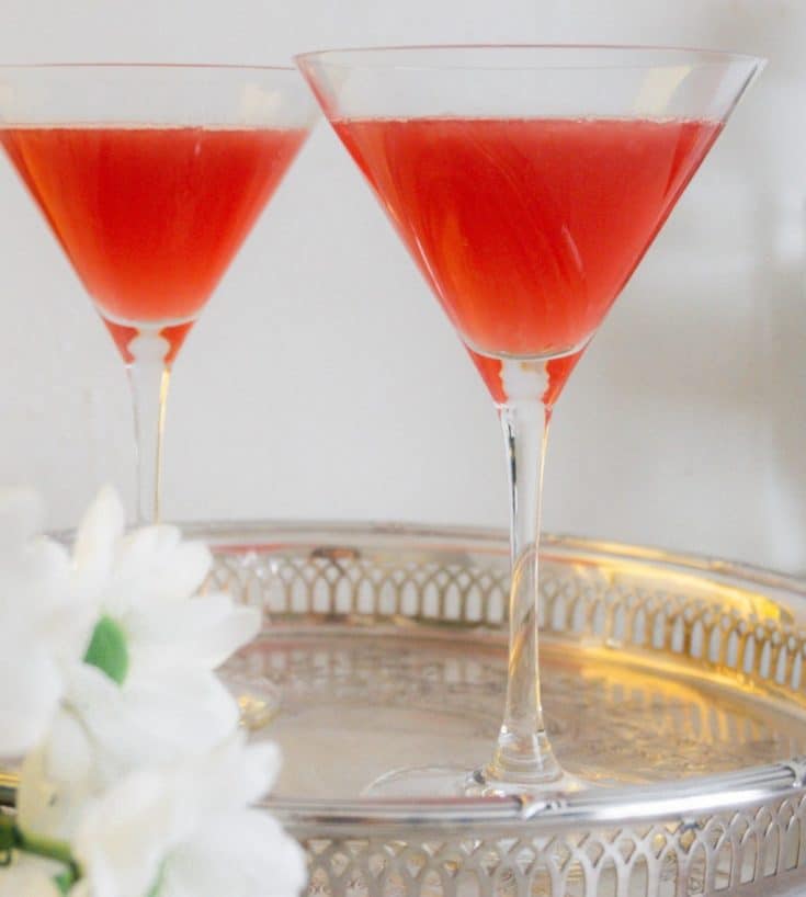 Martini au gin et canneberges