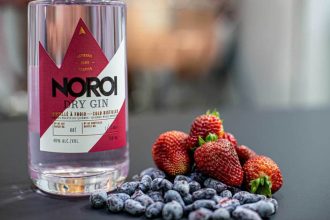 gin Noroi aux petits fruits