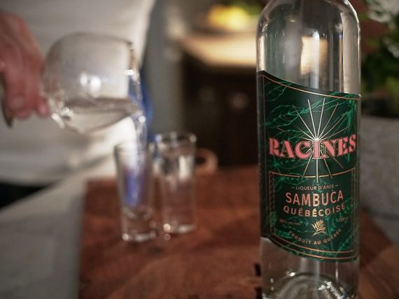 Racines sambuca québécoise