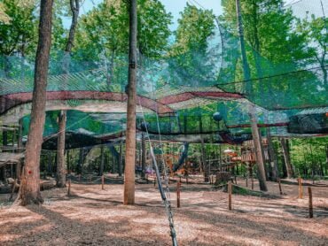 Upla par Arbraska - Vue d'ensemble