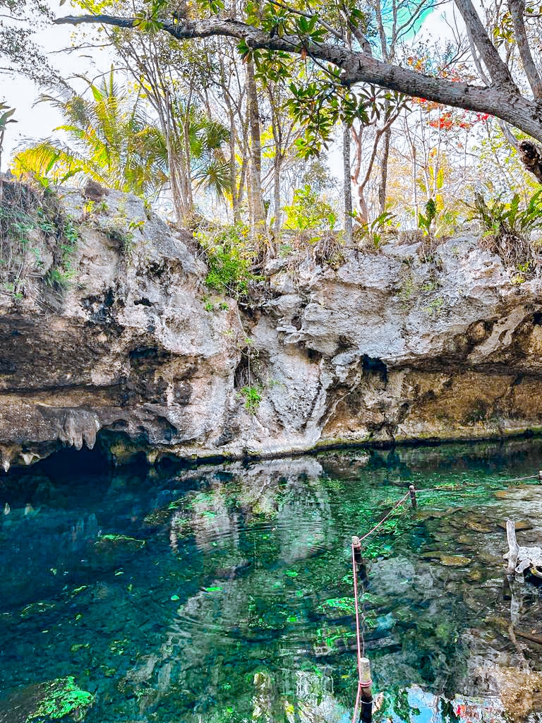 Gran cenote - Tulum au Mexique