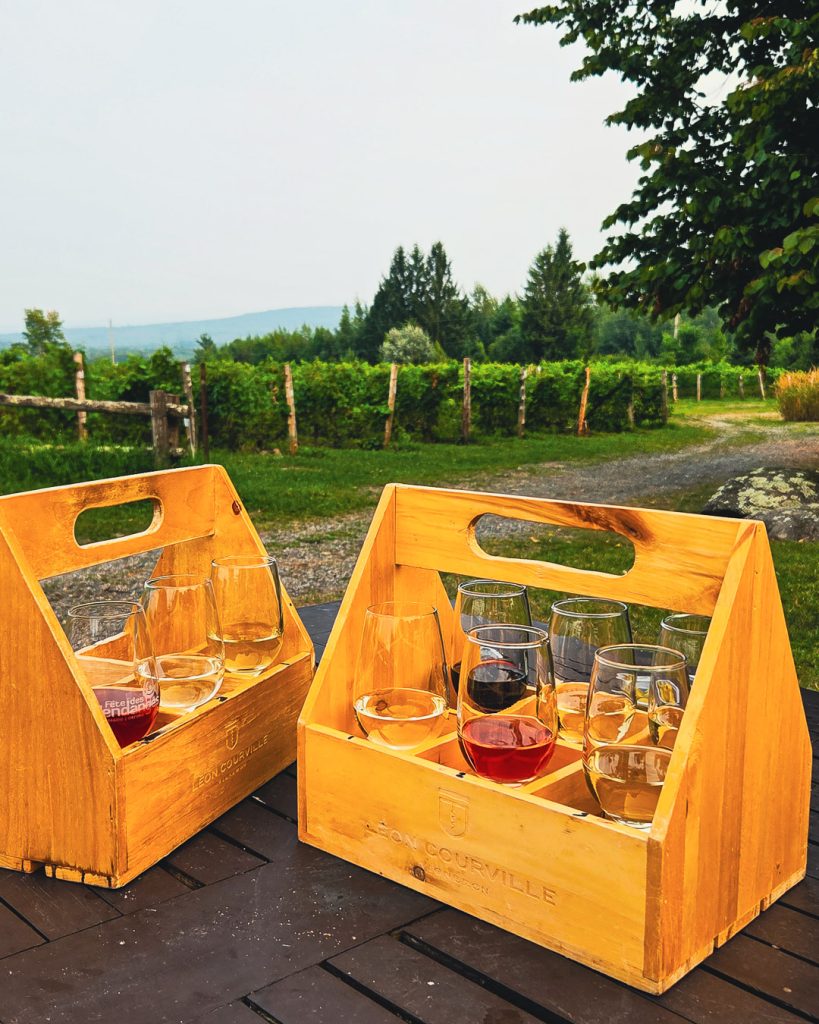 Dégustation de vins au vignoble Léon Courville