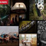 Affiche World Press Photo 2026